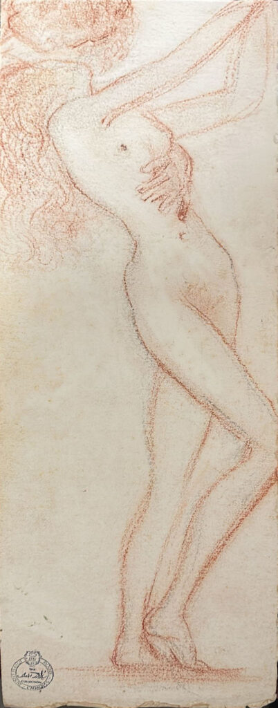 Salvador DALI- Female figure drawing, study