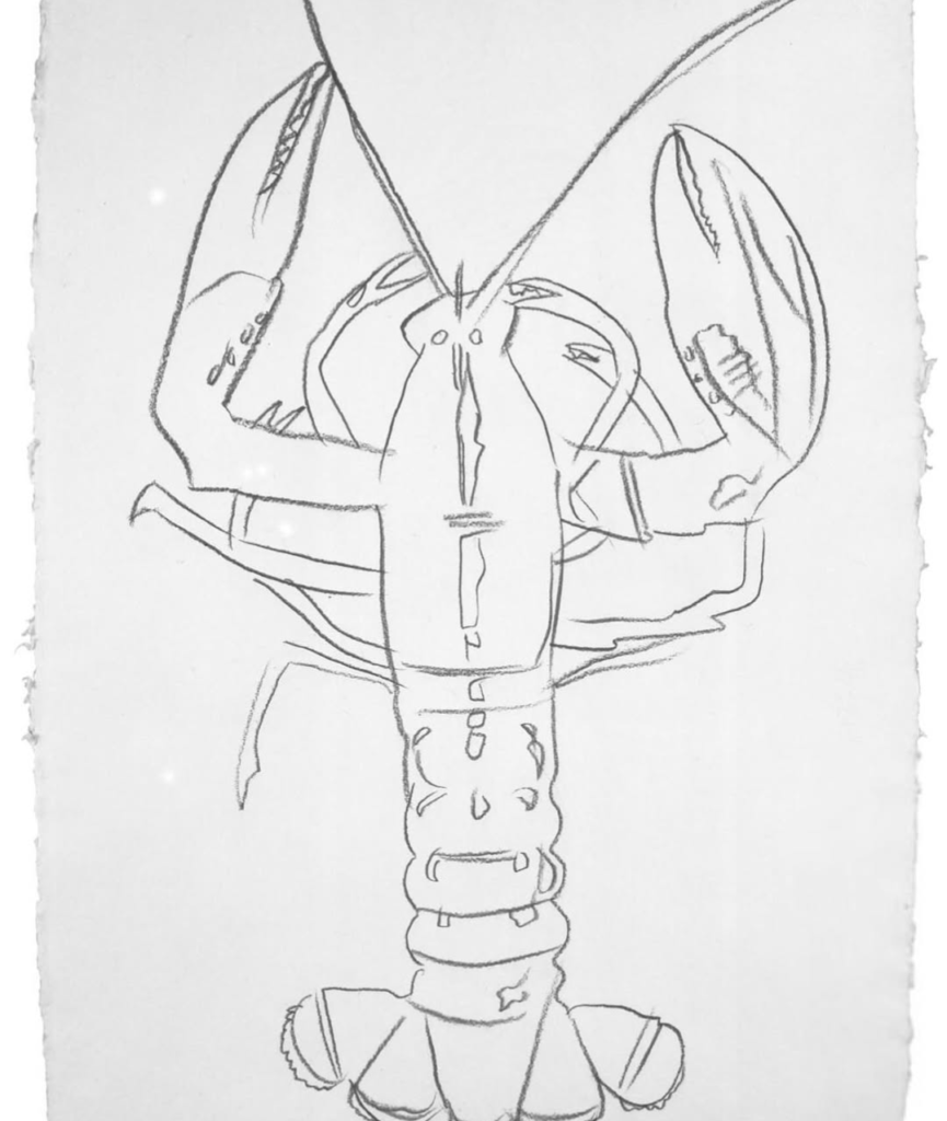 WARHOL- Lobster Drawing