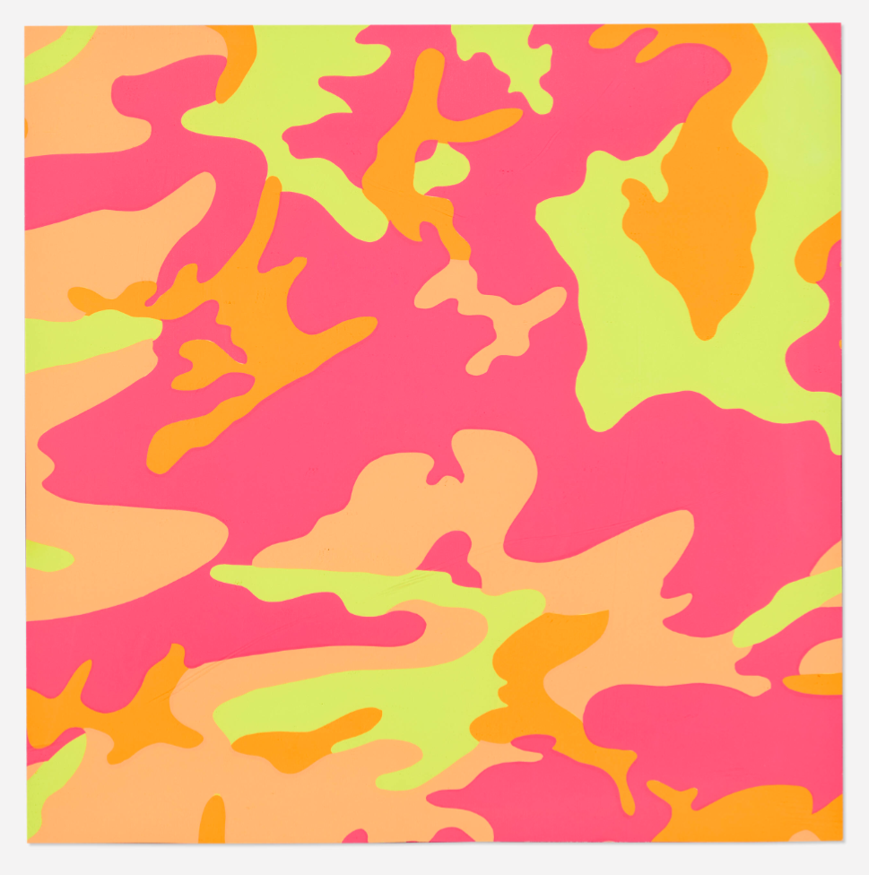 WARHOL- Camouflage FS.II.409